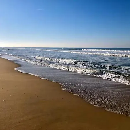 Ibisa Angles (Vendee)